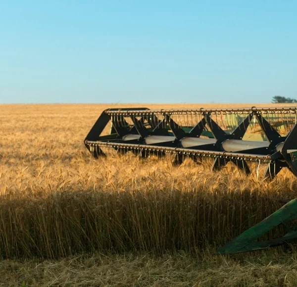 Messeregge: The Essential Blade Harrow for Modern Agriculture