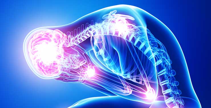 How Chronic Stress Affects Your Body: Warning Signs, Health Risks, and Recovery Tips